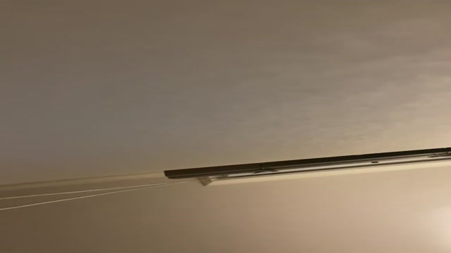 애쀼니풀    (3)